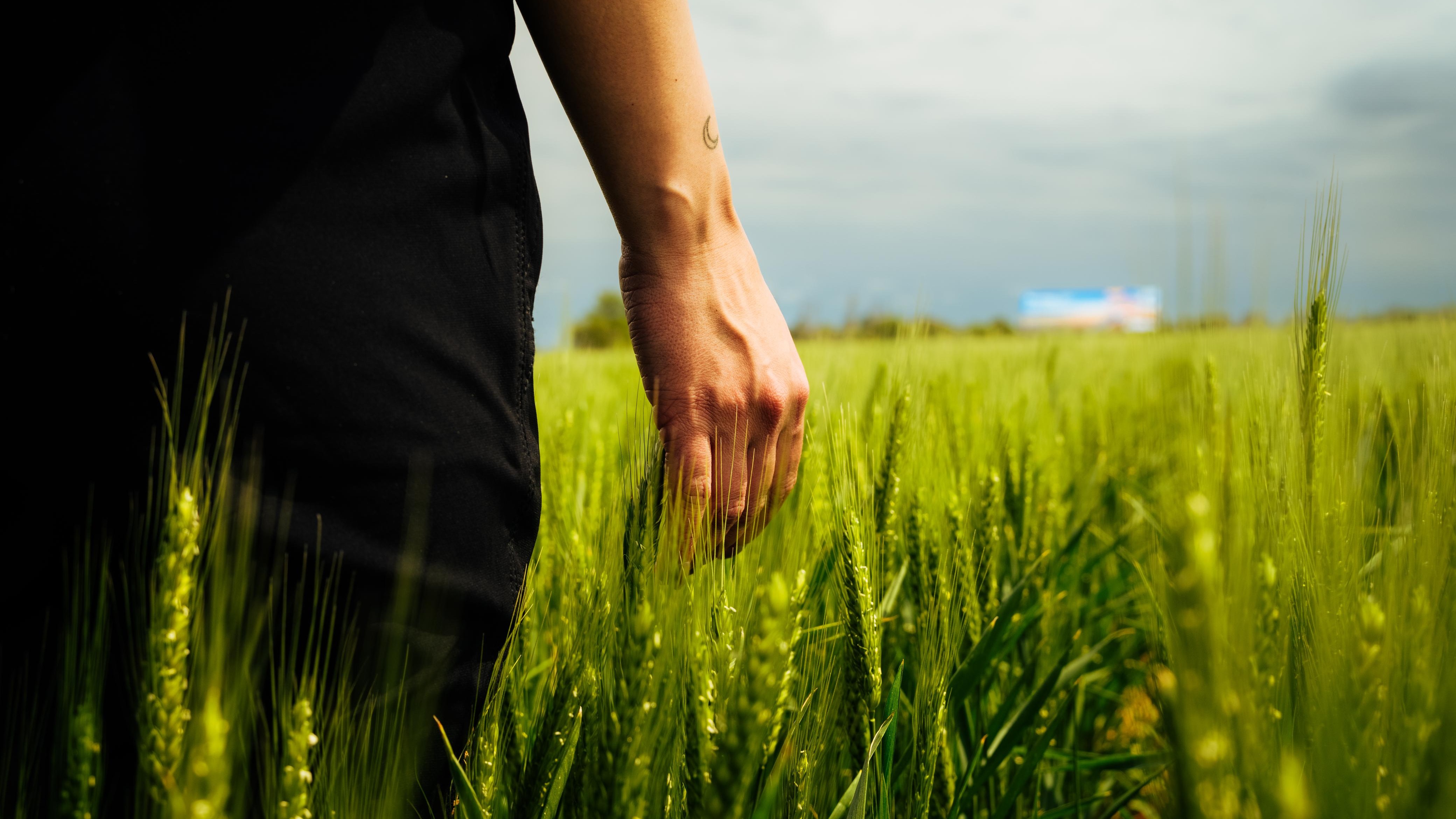 Los biológicos son la clave para el próximo salto de productividad agrícola